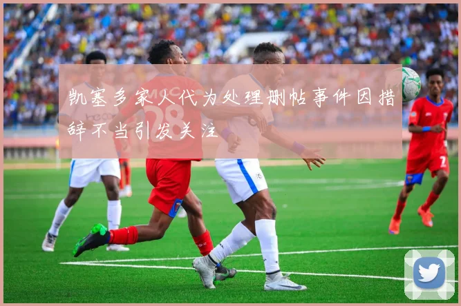 凯塞多家人代为处理删帖事件因措辞不当引发关注