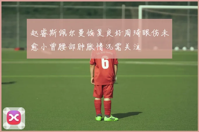 赵睿斯佩尔曼恢复良好周琦眼伤未愈小曾腰部肿胀情况需关注