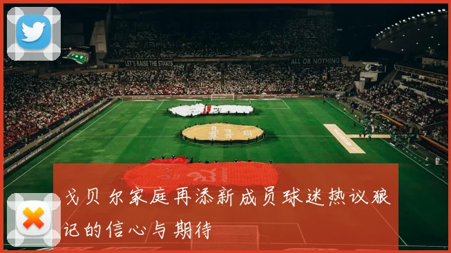 戈贝尔家庭再添新成员球迷热议狼记的信心与期待